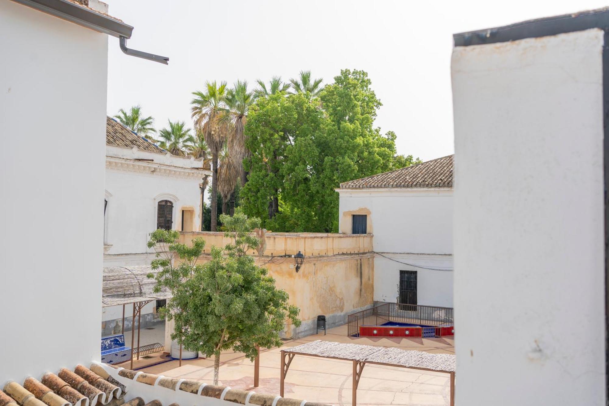 Willa La Casa Del Convento Villamanrique De La Condesa Zewnętrze zdjęcie